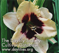 All Consuming Passion, Daylily