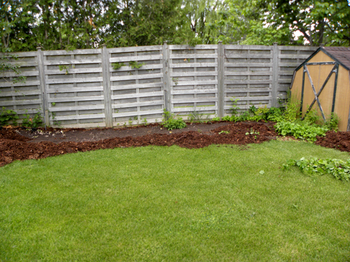 Mary's Garden, Toronto Landscapers