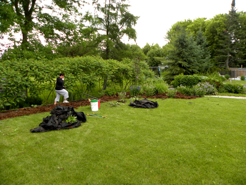 Mary's Garden, Toronto Landscapers